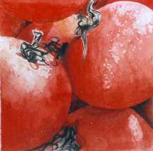 galerie Fruits et Légumes
